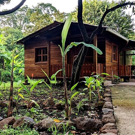 Wood Cabin - Cabana Maderas Balgue 외부 사진
