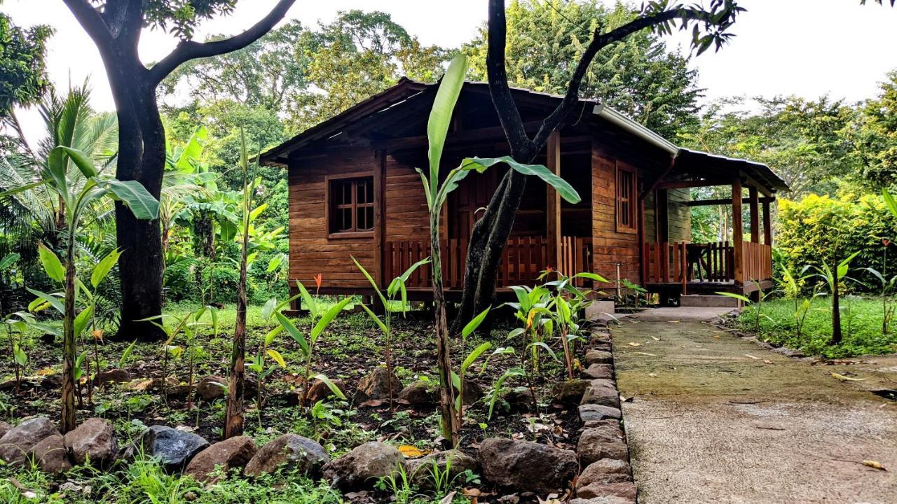 Wood Cabin - Cabana Maderas Balgue 외부 사진